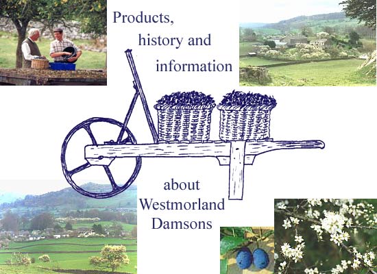 Westmorland Damson Association - Products, history and information about Westmorland Damsons